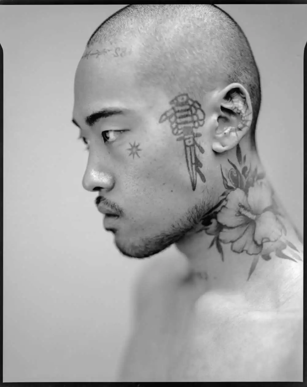 Tattoo : Illicit Ink  by Tim Franco