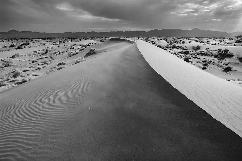 Desert : Shadows of silence by Basim Ghomorlou