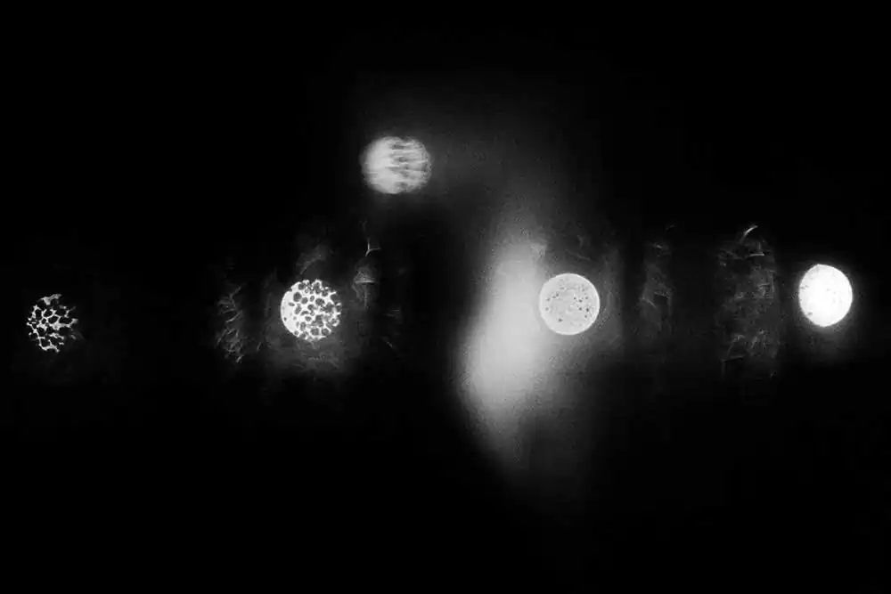 Aritmia | Fabrizio Quagliuso