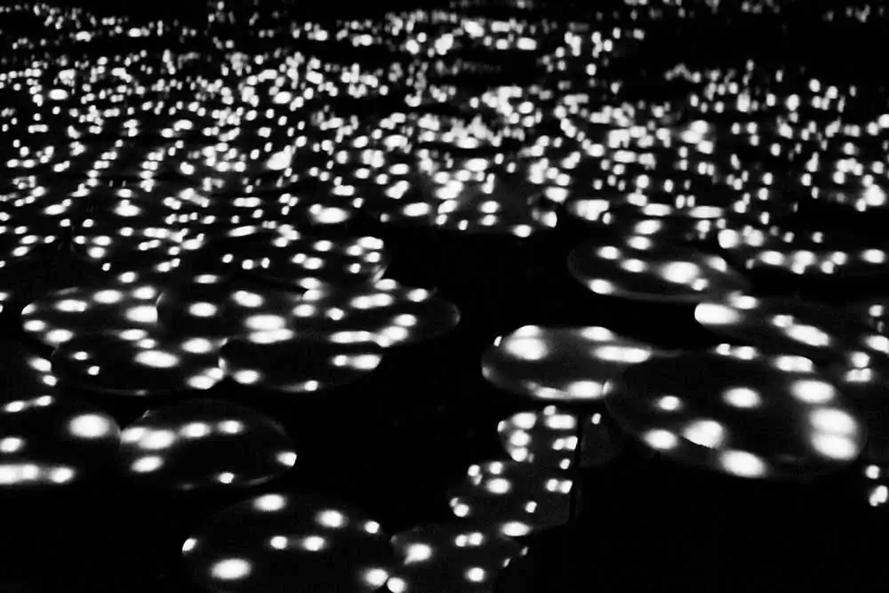 Aritmia | Fabrizio Quagliuso