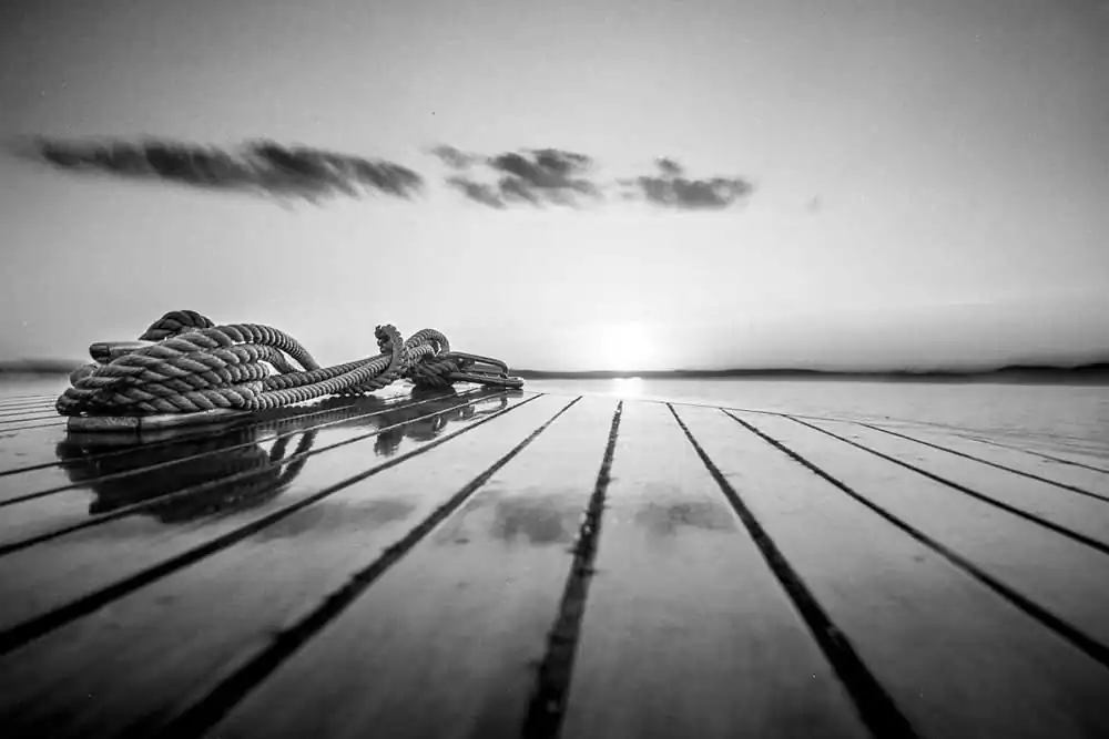 Mahogany Summer | Ari Jaaksi