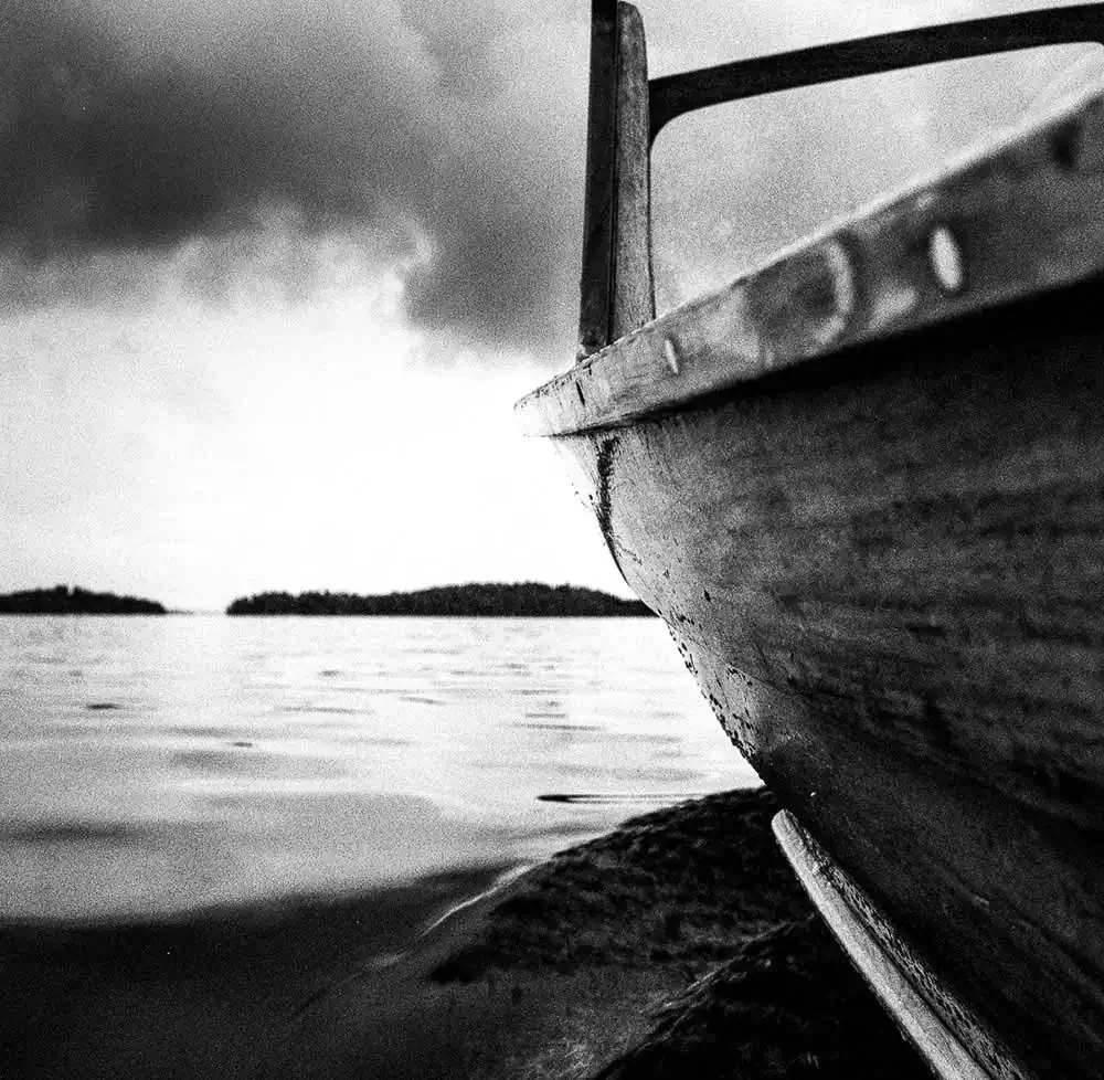 Mahogany Summer | Ari Jaaksi