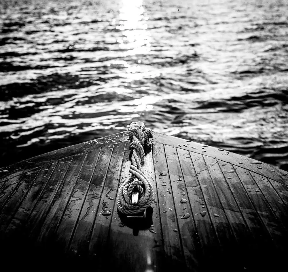 Mahogany Summer | Ari Jaaksi