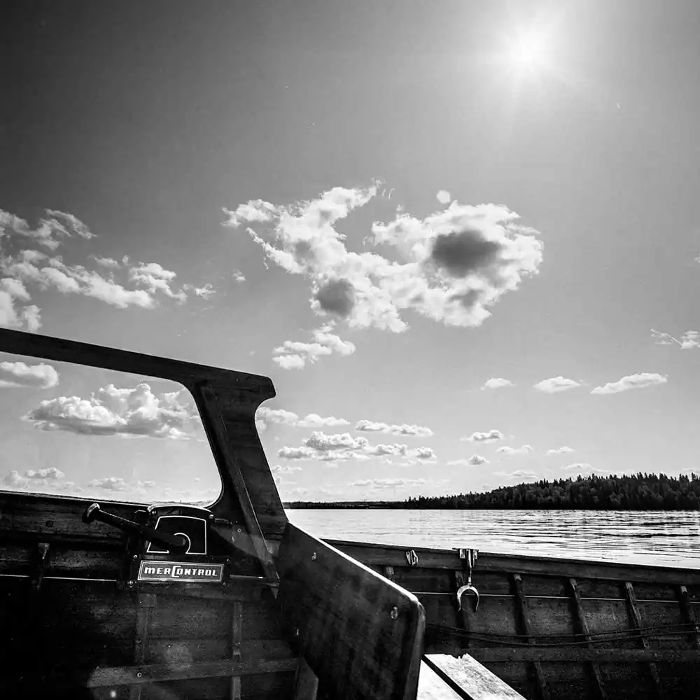 Mahogany Summer | Ari Jaaksi