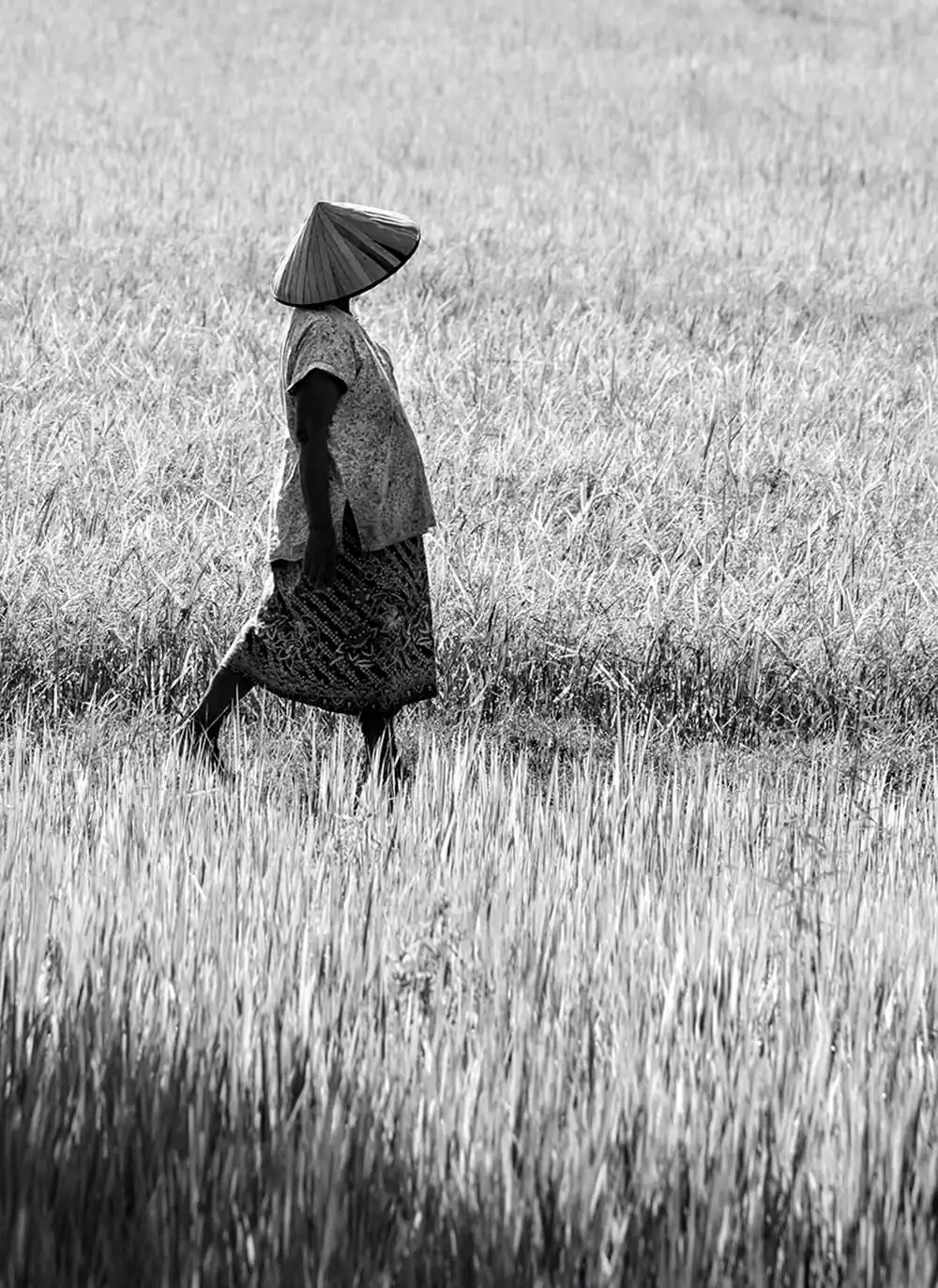 People, what else? | Ignacio Santana Padrón