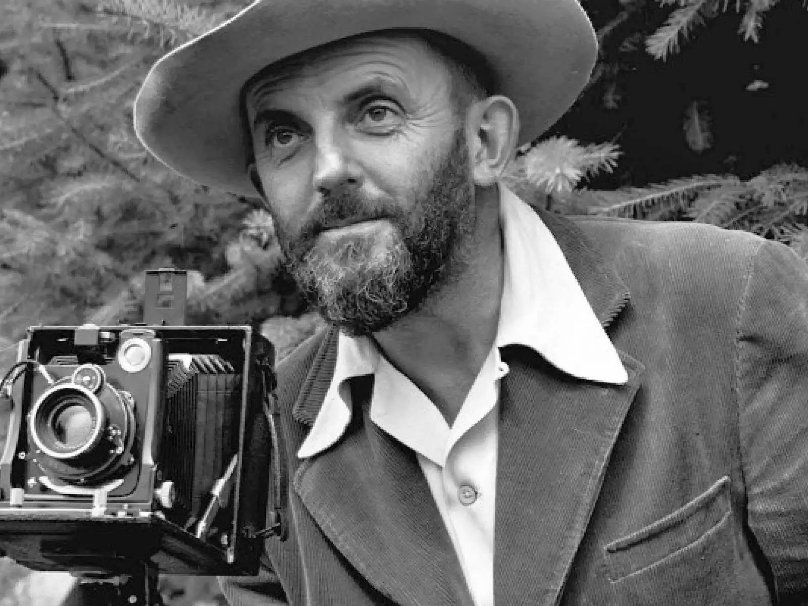 Ansel Adams: Reinventing the grayscale