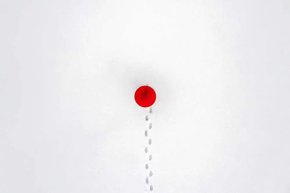 Japonism & Minimalism by Atom