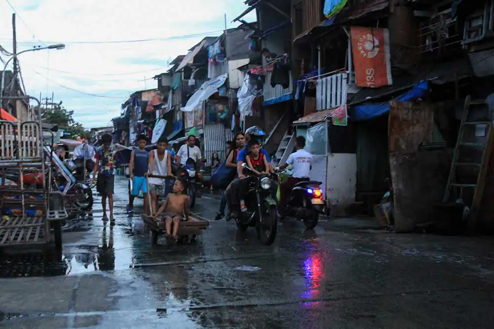 Still Alive by Fabrizio Guida