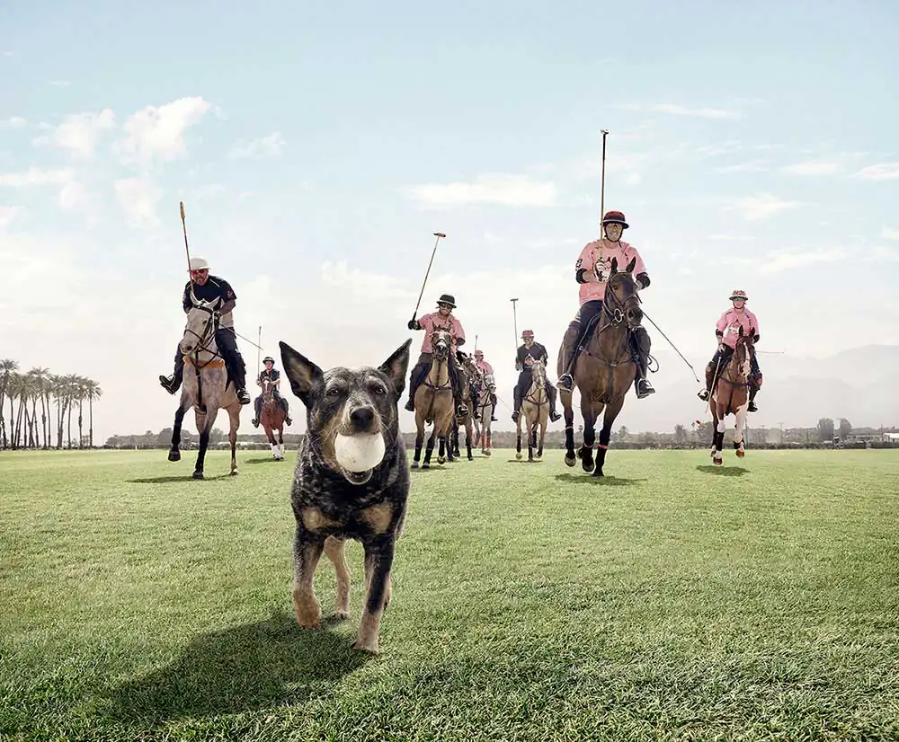 Markku…Polo by Markku Lahdesmaki