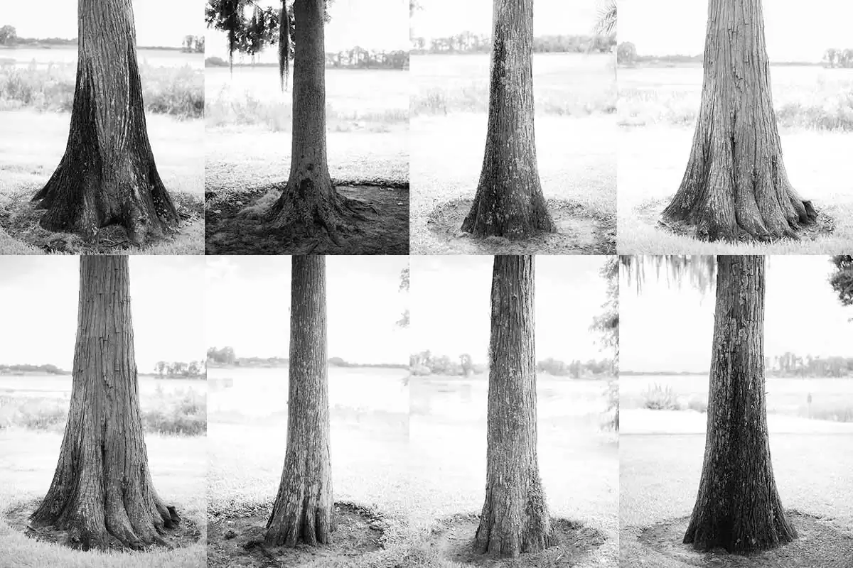 The guardians of Edgewater by Jose Ramirez