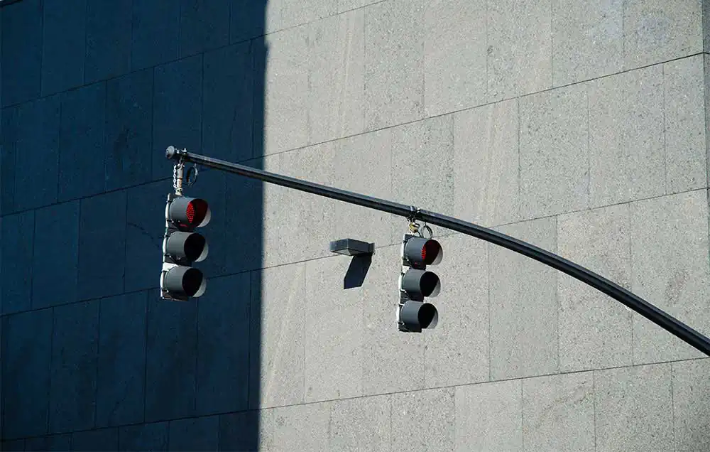 On butterfly wings by Matthew Hall