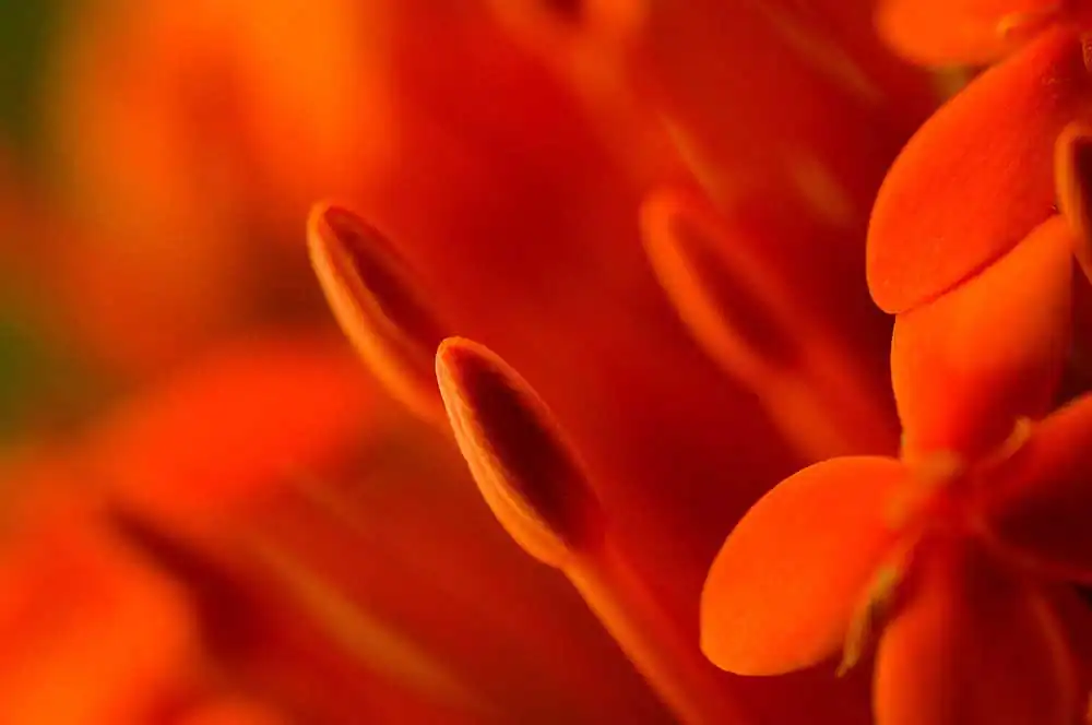 Take a second glance by Pascal Lagesse