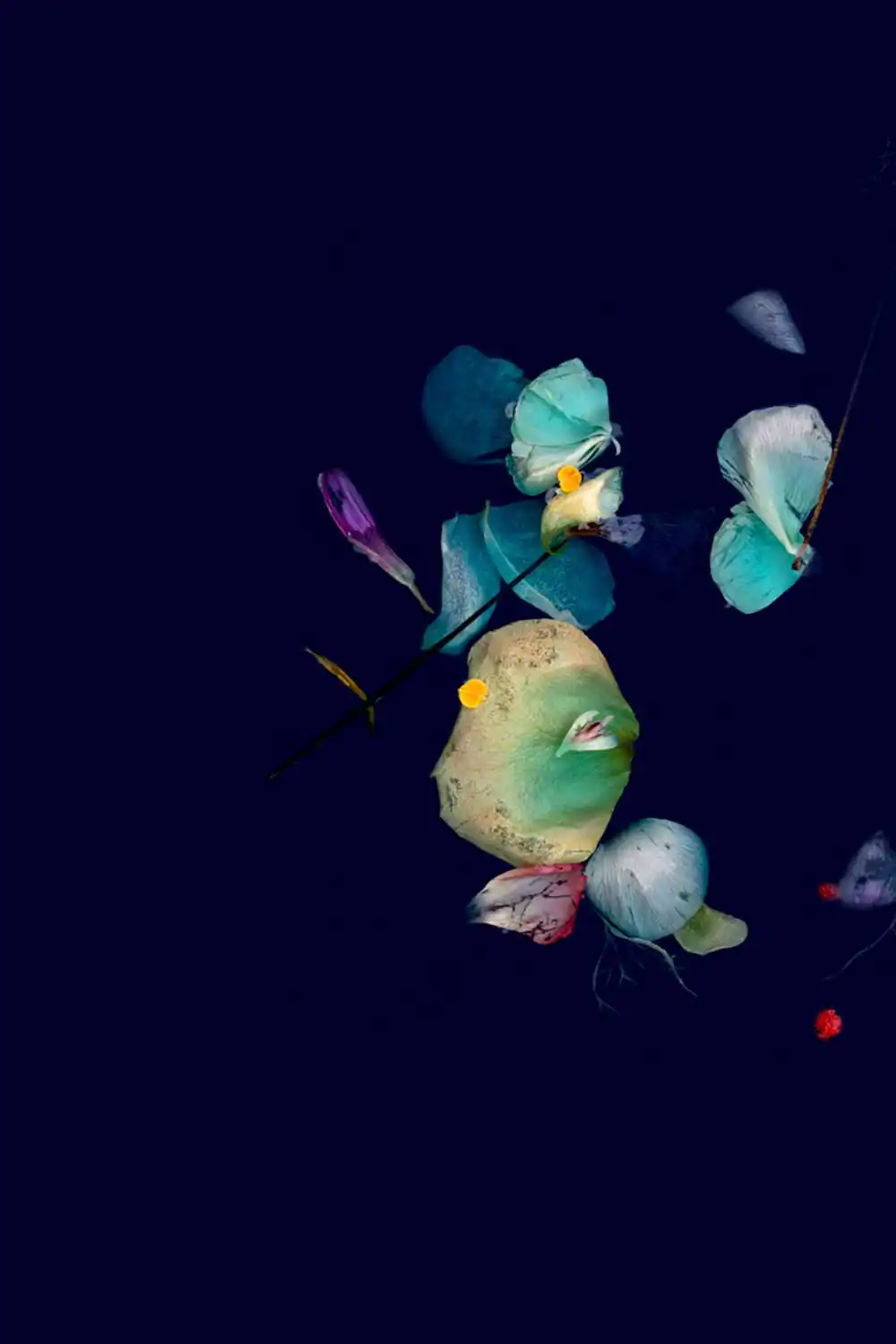 The Fine art of letting go by Shira Gold