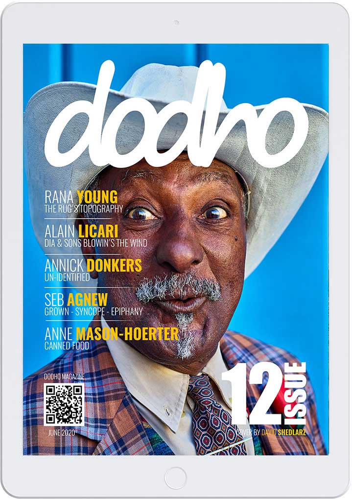 https://www.dodho.com/wp-content/uploads/2020/06/dig12.jpg