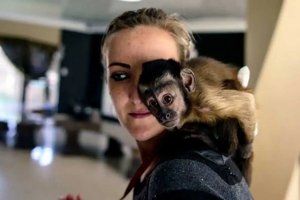 Exotic Companions by Frank Trimbos