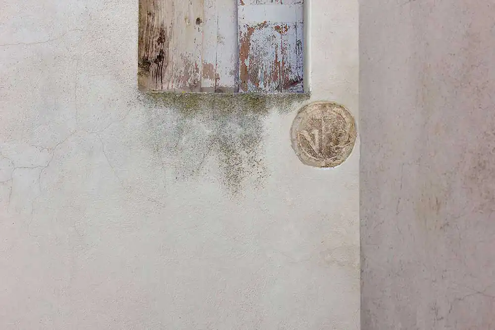 Giorgio Di Maio; The Hidden Harmony