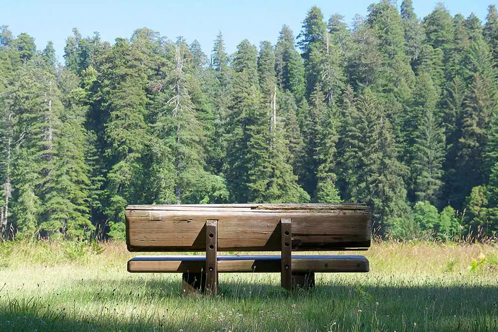 Viewpoint by Journey Gong