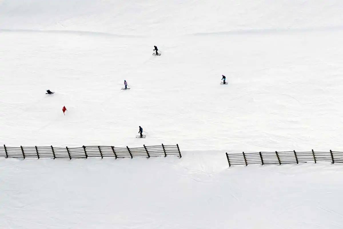 Winter’s Ant Farm by Ty Stedman