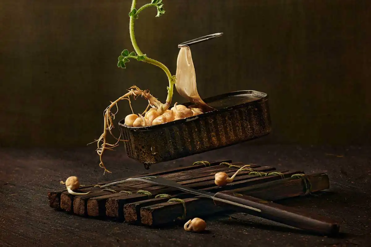 Germinating by Wesley Dombrecht