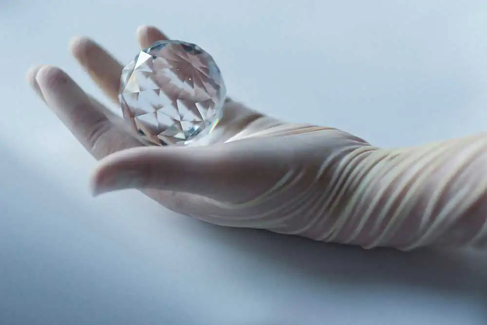 The reticule by Xenia Fedorova