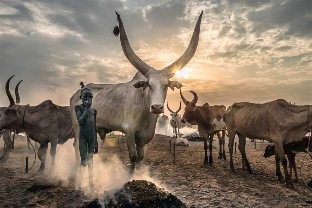 Viewbug: World Photography Day