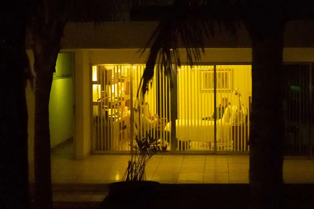 Confinement; Strange uprooting by Emilio Torres