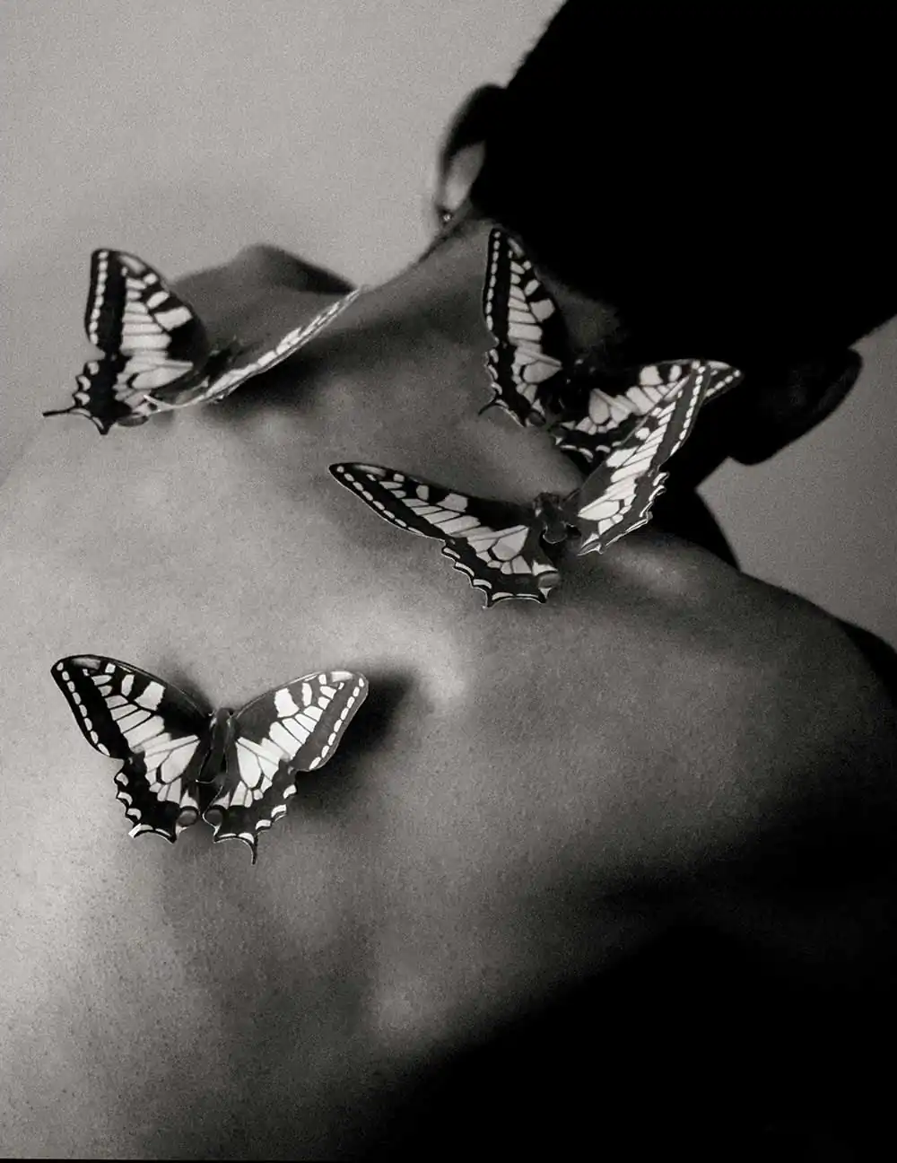 The element of freedom by Alessio Giansante