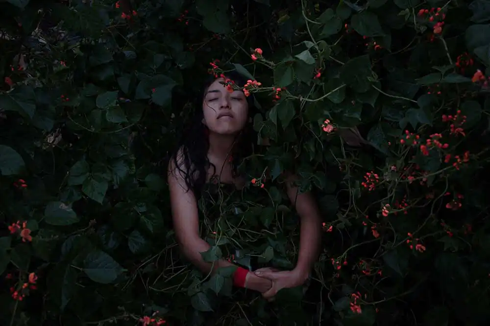 A ti vuelvo by Johis Alarcón