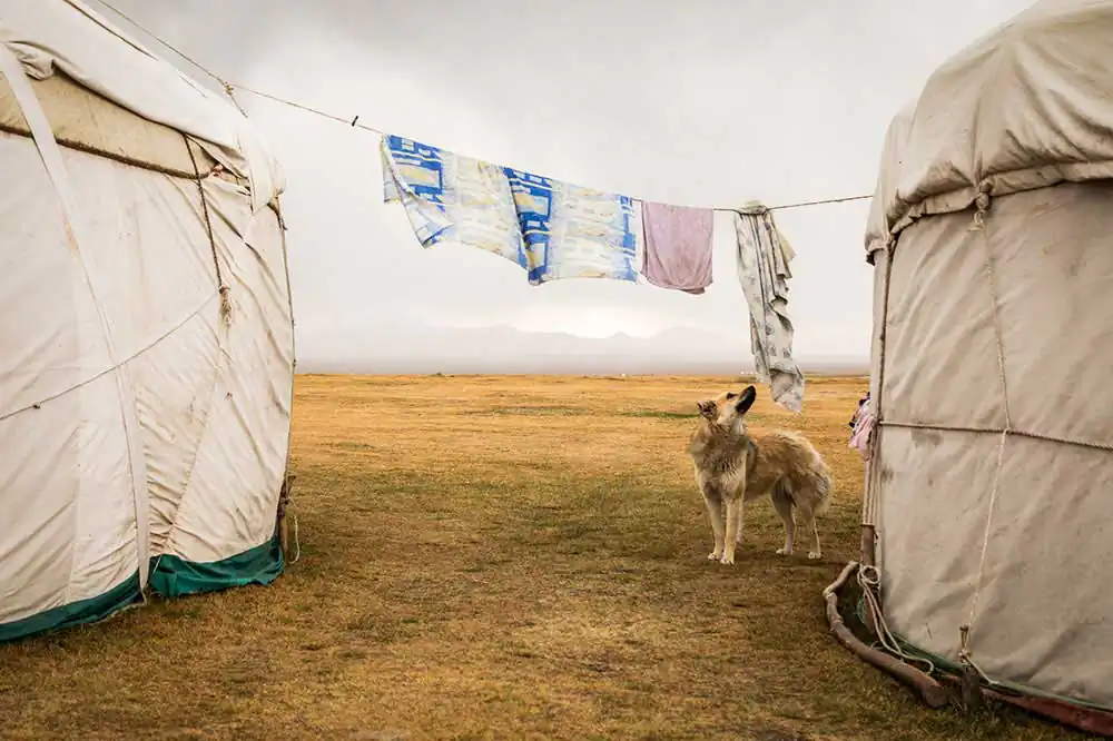 The Silk Route Through Kyrgyzstan by Bharat Patel