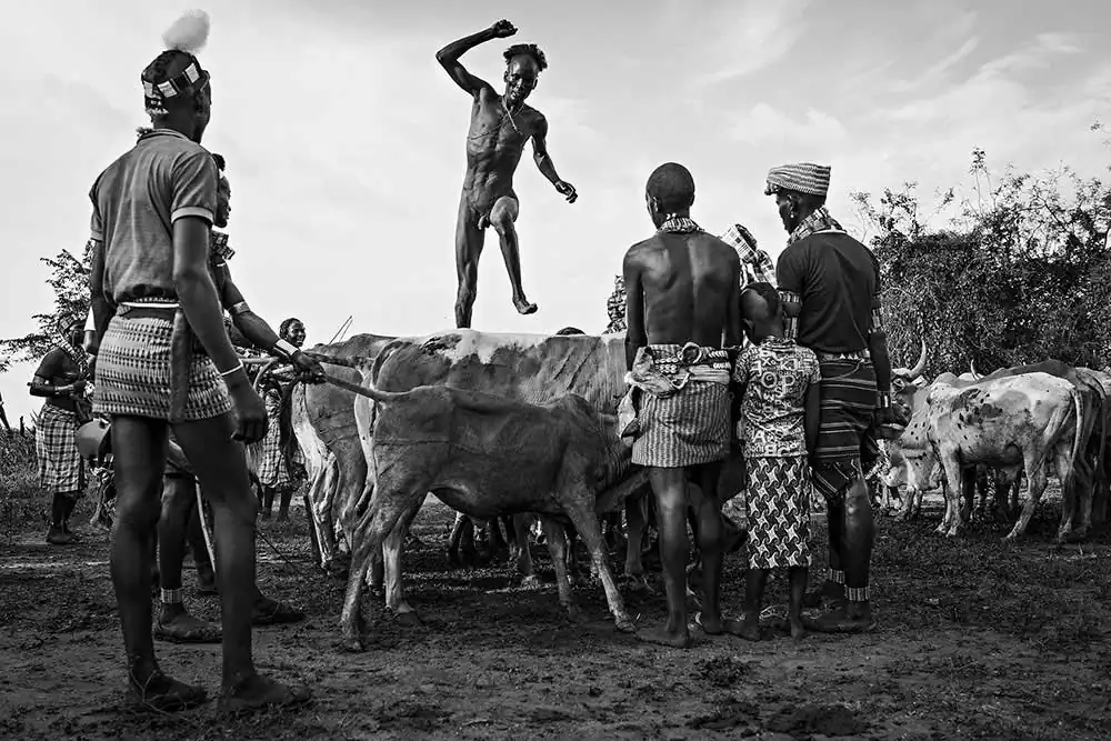 Bull Jump Ceremony by Tommaso Vecchi