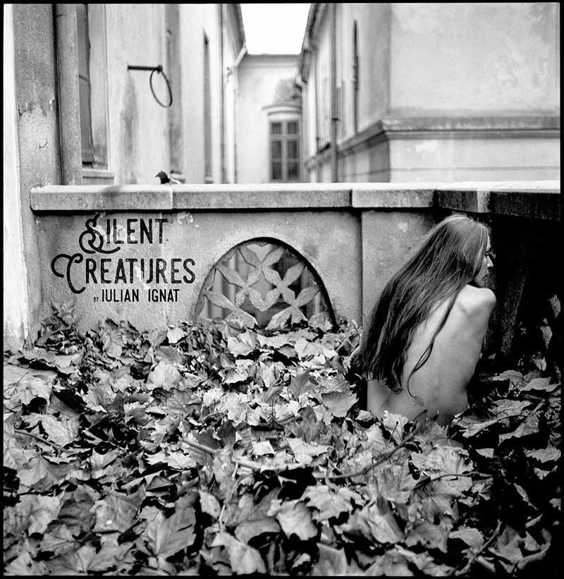 Silent Creatures photobook