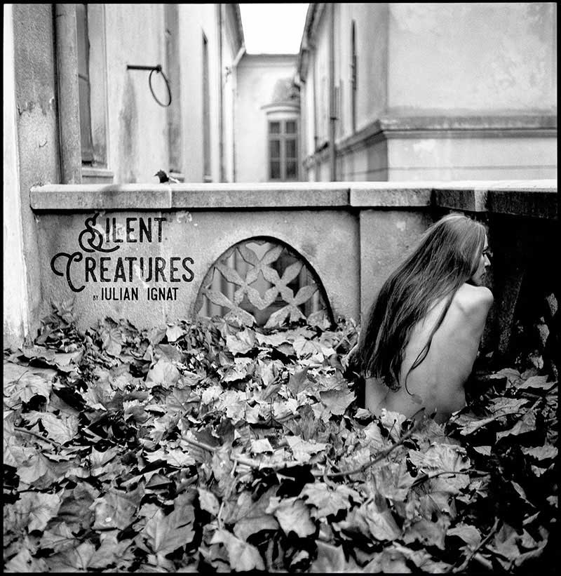 Silent Creatures photobook