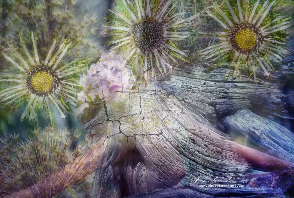 Doubt and nostalgia for light