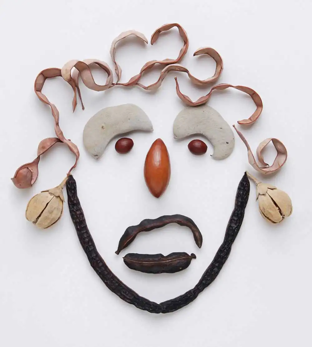 Still life; Seedy Photos by Mark Connelly