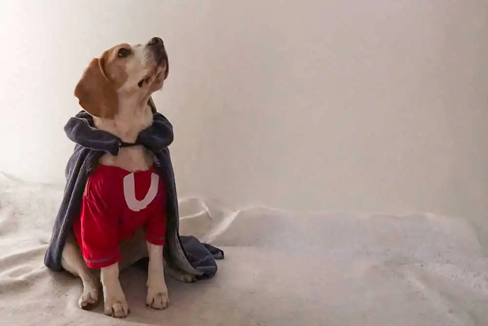 For love, only for love by Elisa Mariotti