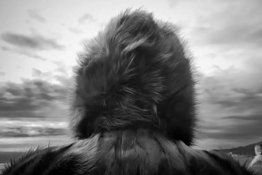 Memory and photography; Synapses by Thanos Savvidis