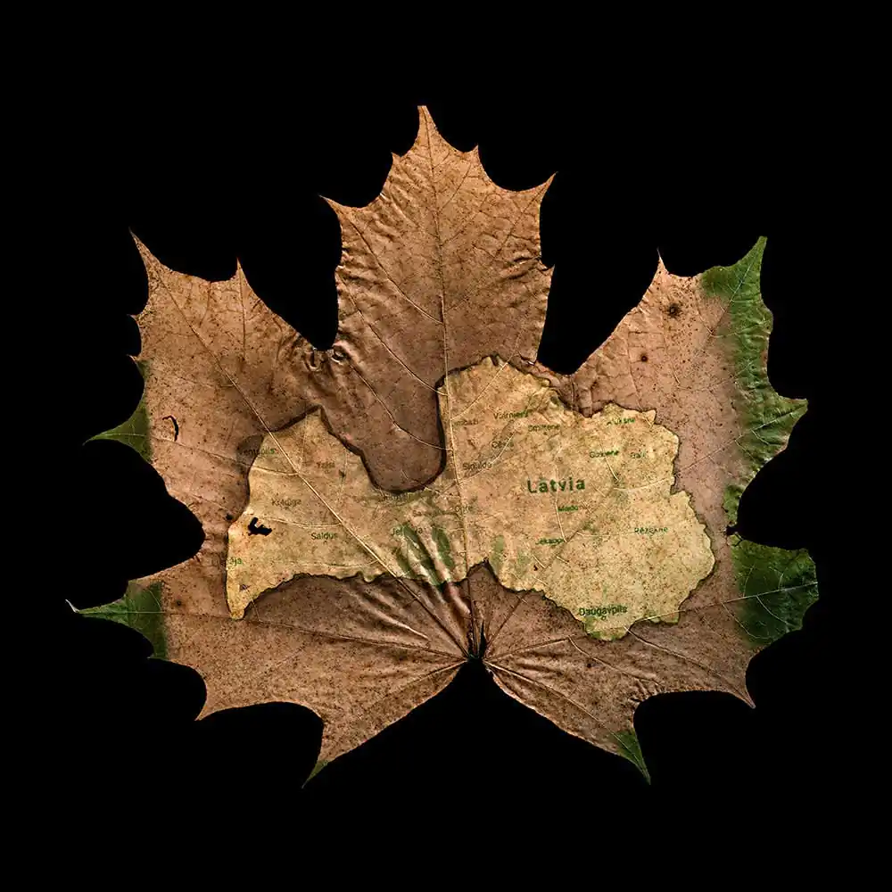 Botanical studies and historical digressions by Žilvinas Kropas