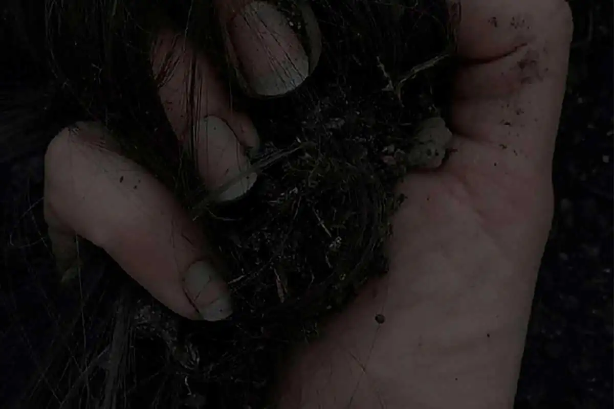 Father figure by Elena Liventseva