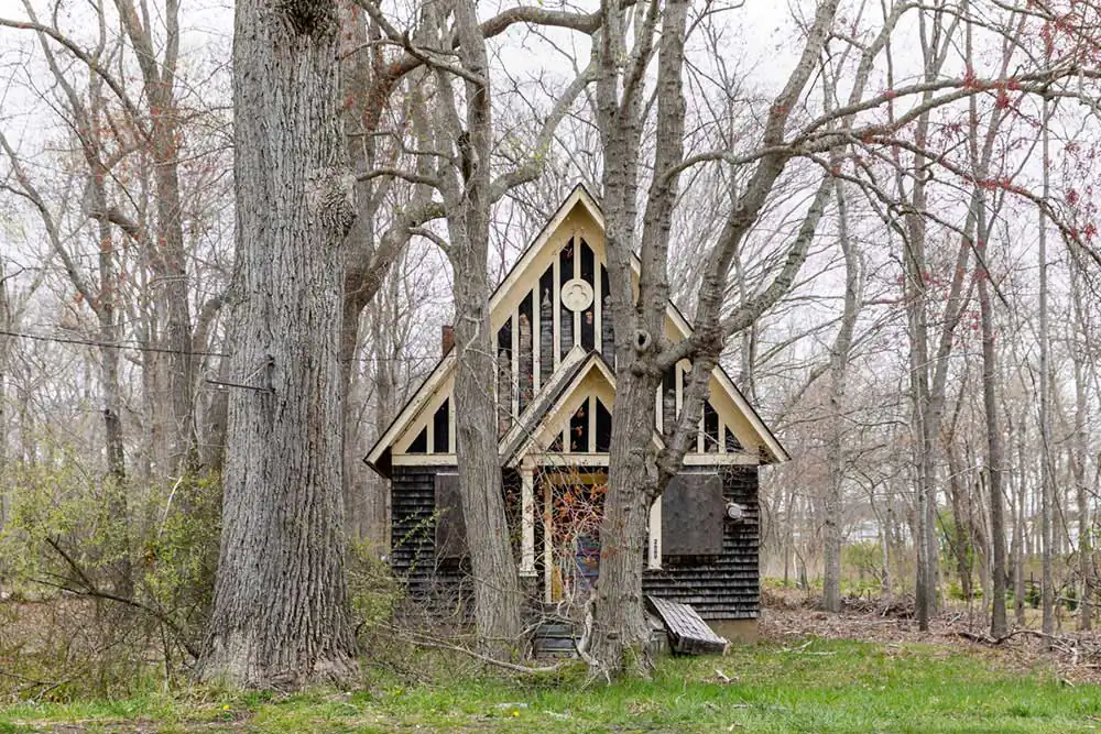 Hidden Homes by Lisa Cutler