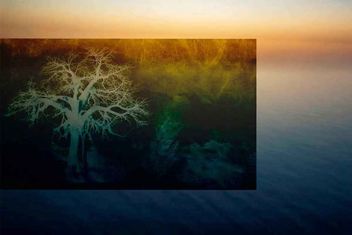 ICM Photography and COP26