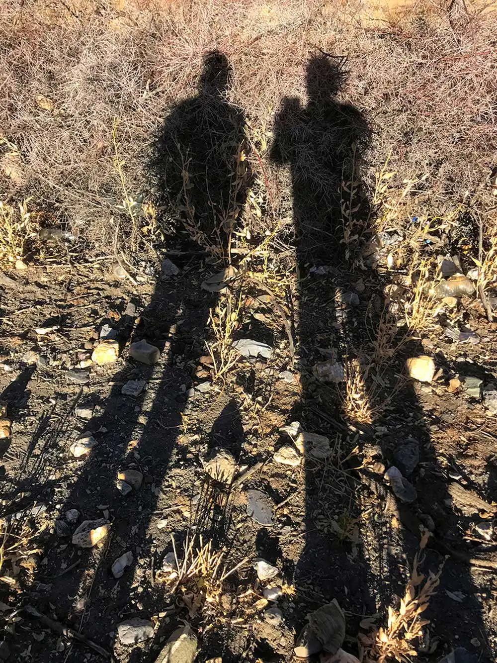 The shadows say a lot by Kaushik Dolui