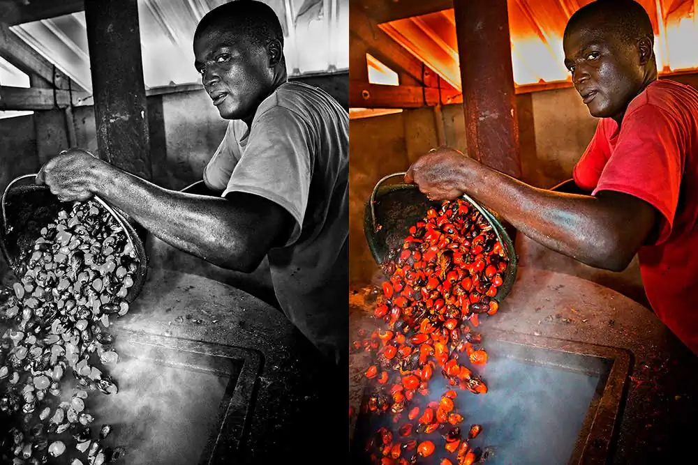 B&W vs Color in photography