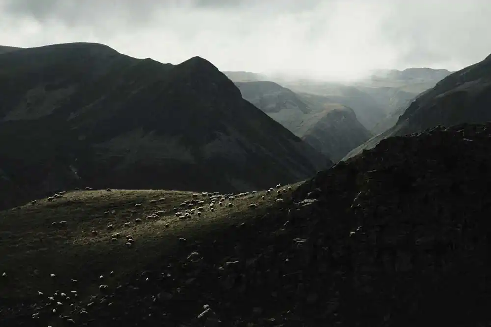 Exploring Georgia in fall by Ferre Vervaet