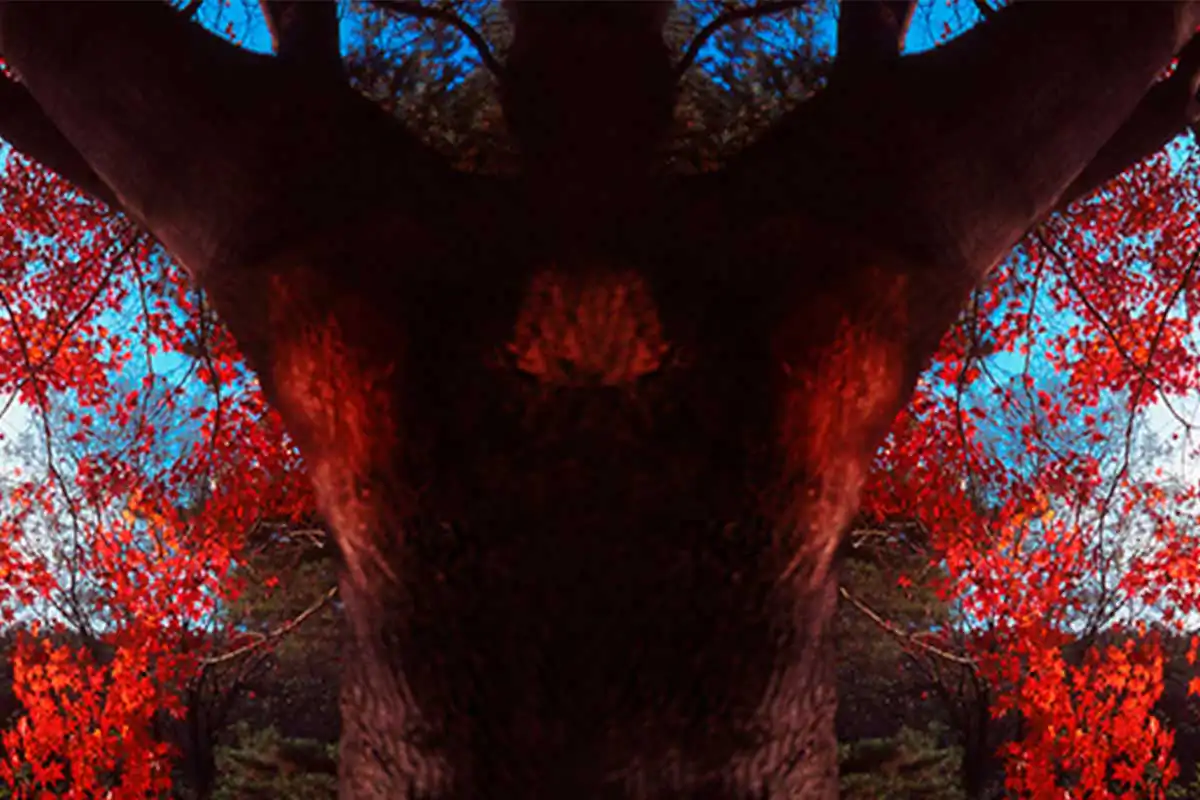 The praise of slowness