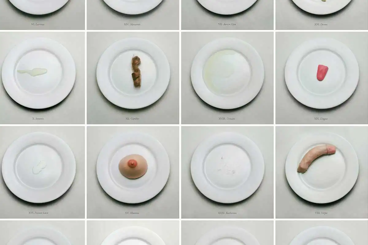 The Embarrassment of Being Human by Aline Smithson