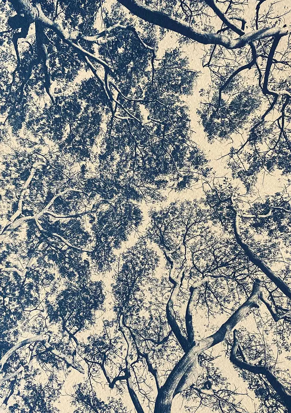 Land Revisited;  a five person photography exhibit centered on the theme of the landscape