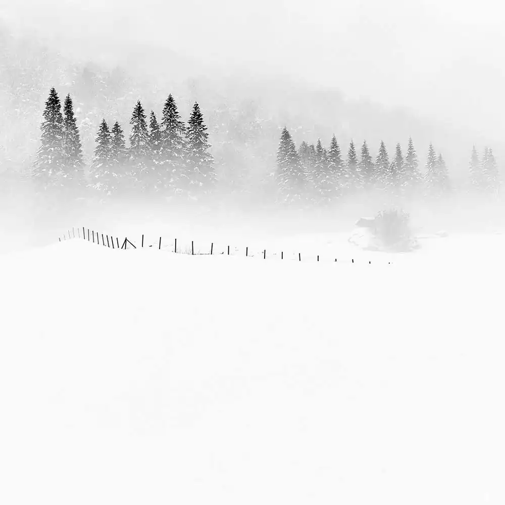 Silence and snow by Ragnar B. Varga