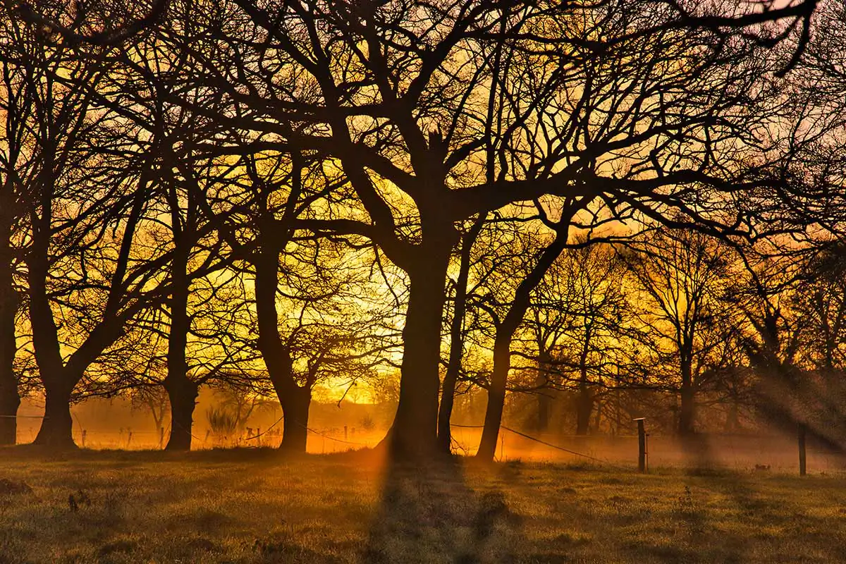 GuruShots: Magazine Material