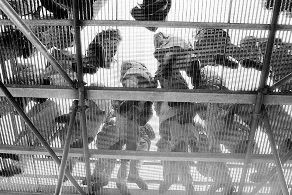 Barbara Wolff; Photographs