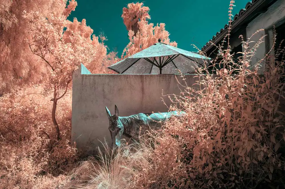 (un)real landscapes: Los Angeles plays itself by Karen Constine